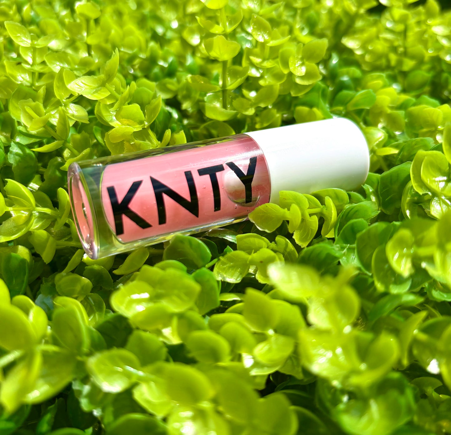 CVNT!